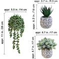 thumbnail image 2 of Set of 3 Artificial Potted Succulent Plants Faux Aloe Hops String of Pearls in Rustic Concrete Planter Small Fake Desk Plants for Farmhouse Desk Kitchen Bathroom Shelf Windowsill Greenery Decor, 2 of 8