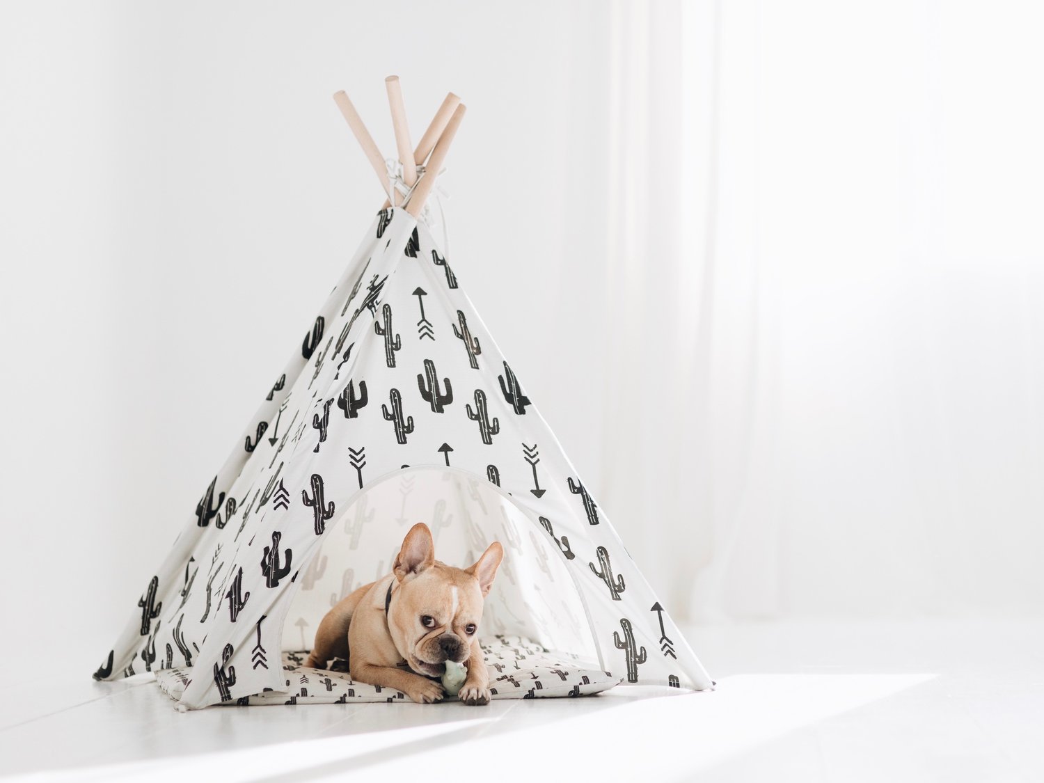 pipolli teepee