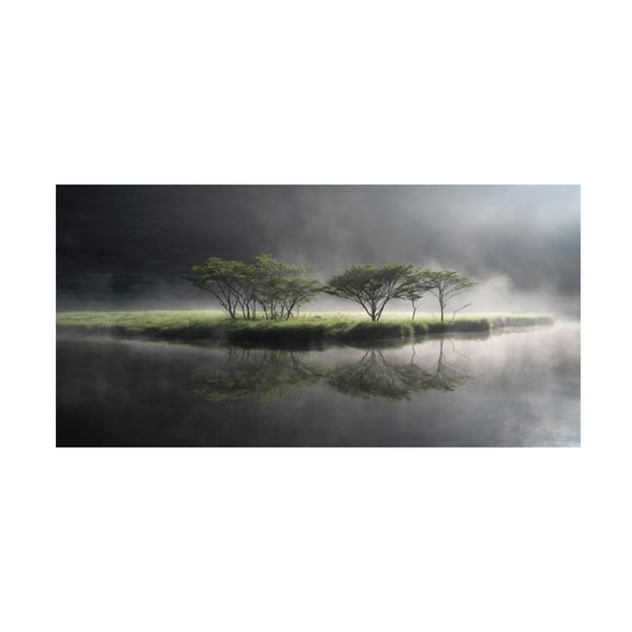 Trademark Fine Art Akira Nagase Fantasy Symbol Tree Canvas Wall Art