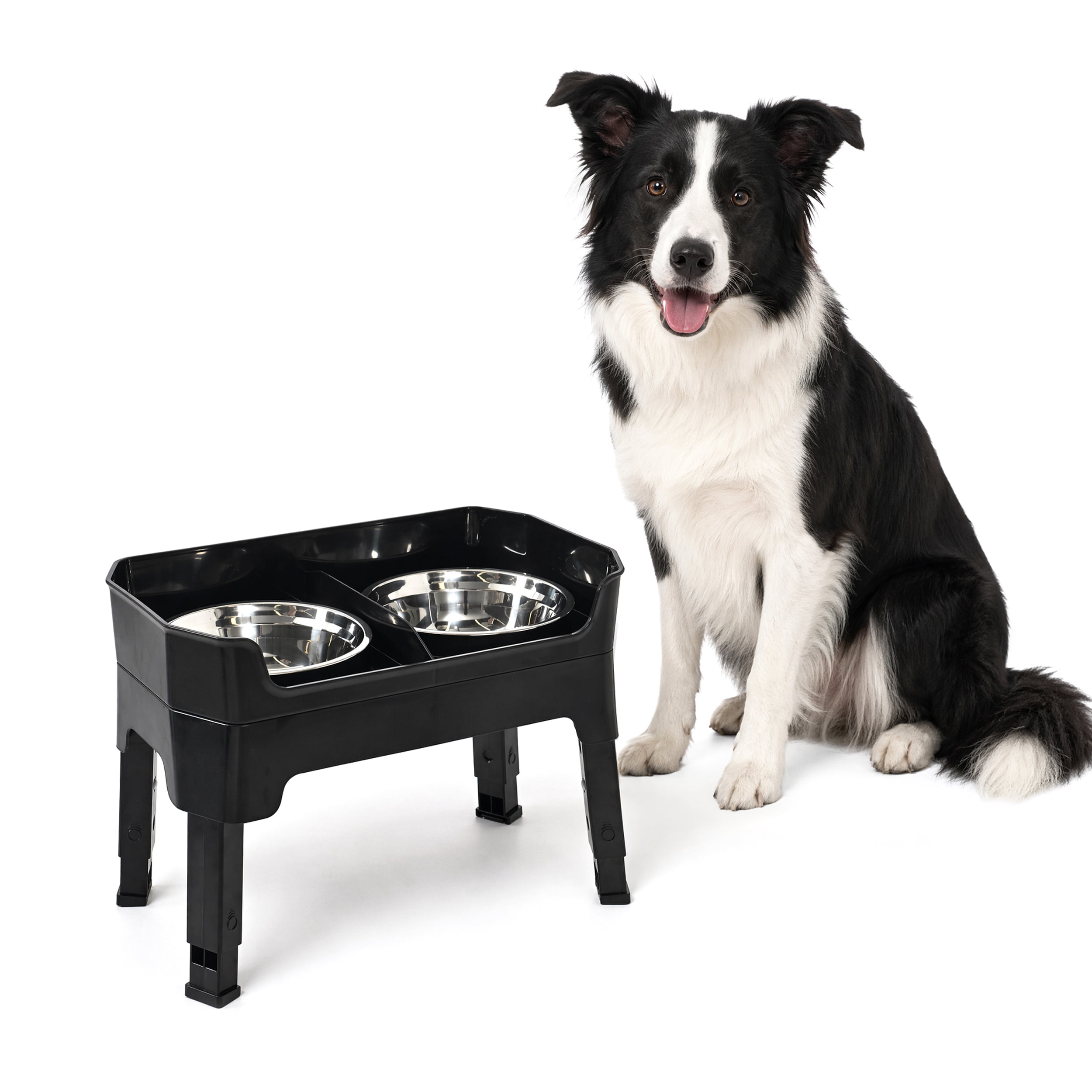 Max & Marlow Elevated Dog Bowls with 3 Adjustable Heights,No-Spill Raised Dog Food and Water Bowl Stand with 2 Stainless Steel Bowls
