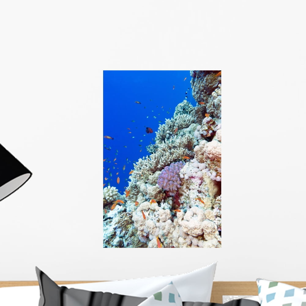 Tropical Coral Reef Wall Stickers Decals