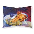 thumbnail image 1 of "Caroline's Treasures 7355 FUNDA DE ALMOHADA Funda de almohada estándar de tela Fox Terrier y oso de peluche, grande, multicolor" Caroline's Treasures 7355PILLOWCASE, 1 of 1