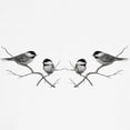 thumbnail image 3 of CafePress - Chickadee Song Bird Maternity T Shirt - Cotton Maternity T-shirt, Cute & Funny Pregnancy Tee, 3 of 4