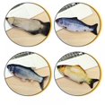thumbnail image 3 of Électrique Cataire Jouets Chat USB Charge Jouets Chat Jouet Poisson Peluche Poupées, 3 of 4