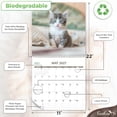 thumbnail image 3 of EcoEarth 18-Month Vertical Wall Calendar, Adorable Kittens, 11" x 22", 2026 - 2027 Calendar, 3 of 6