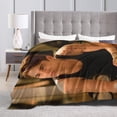 thumbnail image 4 of Hero Fiennes Tiffin Fleece Blanket for Couch - Throw Blanket Lightweight Hero Fiennes Tiffin Merch Super Soft Cozy Luxury Bed Blanket Microfiber and Throws for Sofa, 4 of 6