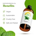 thumbnail image 3 of Sun Essential Oils Peppermint Essential Oil (Huge 4oz Bottle) Bulk Peppermint Oil - 4 Ounce, 3 of 9