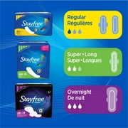 3 Pack - Maxi Pads Regular 24 Each