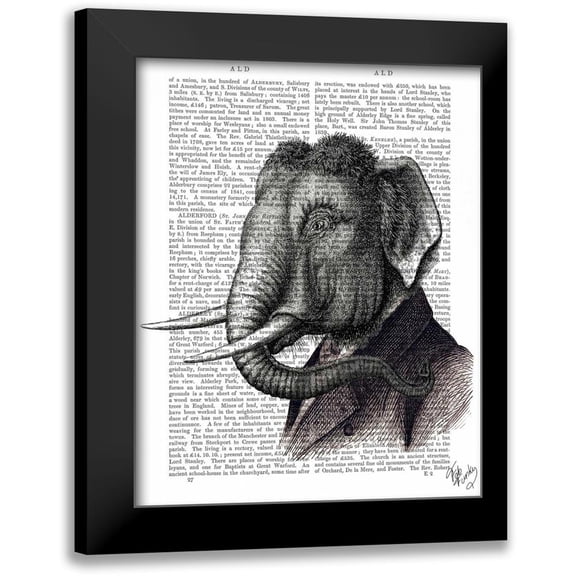 Fab Funky 12x14 Black Modern Framed Museum Art Print Titled - Elephant Portrait