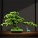 thumbnail image 5 of Bonsái artificial con macetas, planta falsa, adorno decorativo for la entrada de la sala de estar y el hotel., 5 of 7
