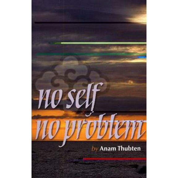 Pre-Owned No Self No Problem: Awakening to Our True Nature (Paperback) 1559393262 9781559393263