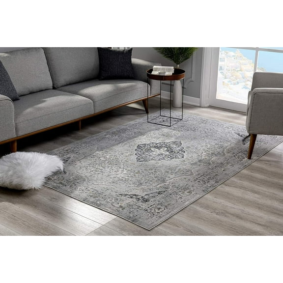 4â€™ x 6â€™ Gray Distressed Decorative Area Rug