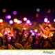 thumbnail image 5 of Luces Serie Halloween Día De Muertos 200 Led String Lights Luces Naranja/morado - Cable Negro Cuenta Con Conector Eléctrico 8 Modos De Uso Con Temporizador Artego Decoración Halloween, 5 of 7