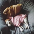 thumbnail image 4 of Dog Clothes Hoodies - The Dog Face Wind Coat for Warmth and Style ShopWise Round, 4 of 13