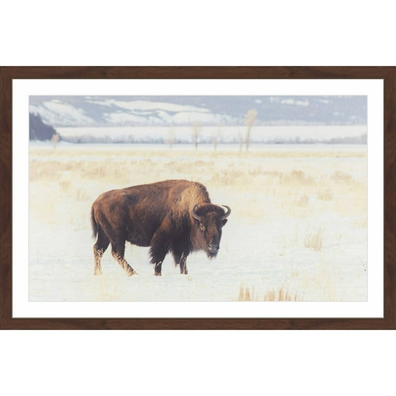 Marmont Hill "Curious Beast" Framed Painting Print