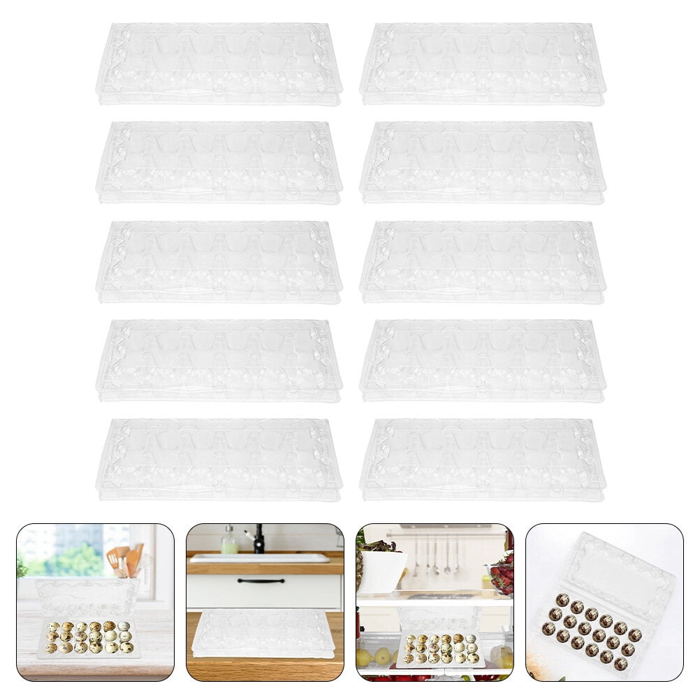 CATIEBYE Transparent PVC Egg Box for Storage Quail Egg Holder Container with Grid Design 40Pcs
