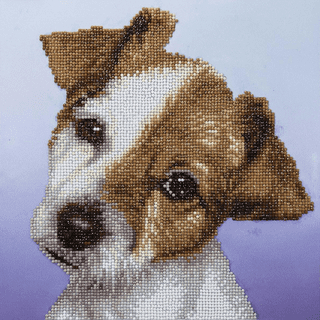 Pop Dog Diamond Painting Kit with Free Shipping – 5D Diamond Paintings
