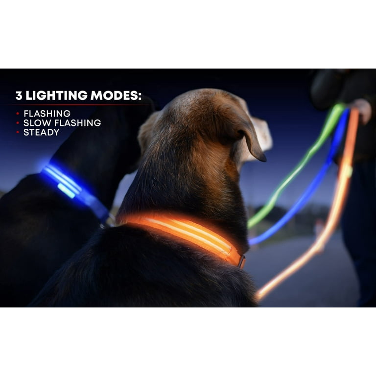Illumiseen led dog collar usb rechargeable online