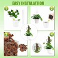 thumbnail image 3 of Plant Plastic Moss Poles for Plant Stakes and Sphagnum Moss., 3 of 5