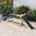 thumbnail image 3 of PawHut Dog Agility Equipment Ramp with Safety Bar, Non-slip Surface, Grey, 3 of 10
