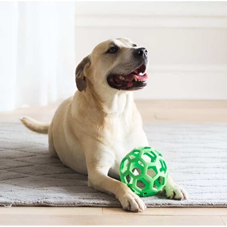 JW Pet Hol-ee Roller Natural Rubber Ball Dog Toy, Medium photo 2
