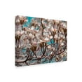 thumbnail image 2 of Trademark Fine Art 'Dogwood Spring I' Canvas Art by Sharon Chandler, 2 of 4