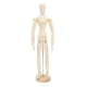 thumbnail image 2 of Mini maniquí de madera de 16 pulgadas, flexible, giratorio, para dibujar bocetos, figuras de madera, modelos articulados, rompecabezas, juguetes, decoraciones para el hogar, 2 of 15
