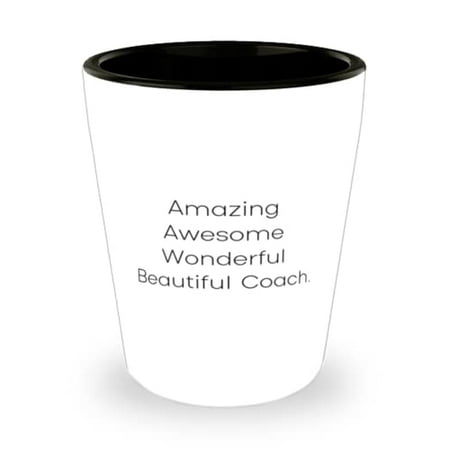 

Sarcasm Coach Shot Glass Amazing Awesome Wonderful Beautiful Coach For Friends Present From Friends Ceramic Cup For Coach