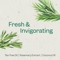 thumbnail image 3 of Set de champú y acondicionador RENPURE Tea Tree & Rosemary 720ml, 3 of 7