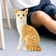 thumbnail image 5 of Gato Juguetes de Peluche Animal Relleno de Felpa Muñeco de Peluche Cómodo Realista Encantador Simulación Gatos Siameses para Niños Regalo de Navidad , EstiloF 25cm, 5 of 6