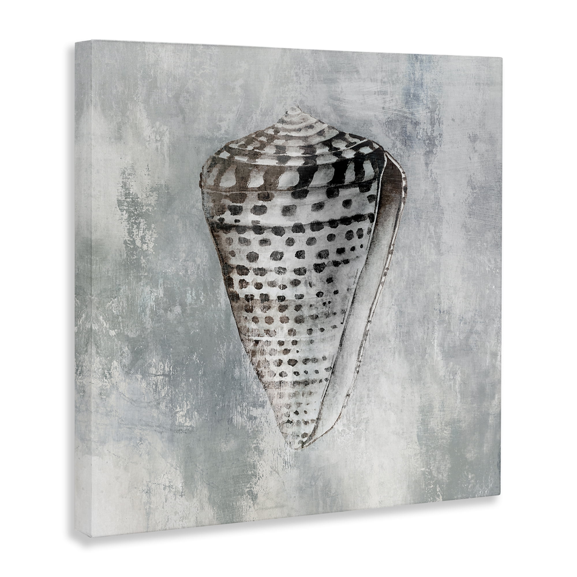 Stupell Industries Organic Cowrie Shell Nautical & Beach Painting Wrapped Canvas Art Print Wall Art, 24 x 24