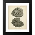 thumbnail image 2 of Esper, Johann 20x24 Black Modern Framed Museum Art Print Titled - Coral Collection V, 2 of 5