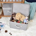 thumbnail image 2 of Foldable Fabric Storage Bins with Lids, Gray Storage Boxes for Closet, 2-Pack, 15.7" x 10.2" x 9.8", 2 of 9