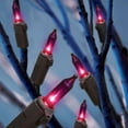 thumbnail image 3 of Purple Mini Lights - 100 Count, 3 of 4