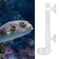thumbnail image 4 of Acrylic Shrimp Feeding Tube, Easy Installation Shrimp Feeding Tube  For Aquarium For Fish, 4 of 8