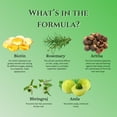 thumbnail image 2 of Handmade Rosemary Shampoo with Amla | Bhringraj | Rice | Aritha |Biotin| Cleanse | Rejuvenate | Volumize | Hydrate | Strengthen | Smooths brittle hairs, 2 of 6