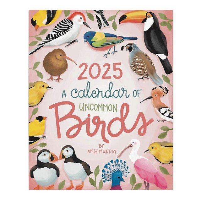 2025 A Calendar of Uncommon Birds - Bird Watcher Monthly Wall Calendar Paper Calendar Organizing & P