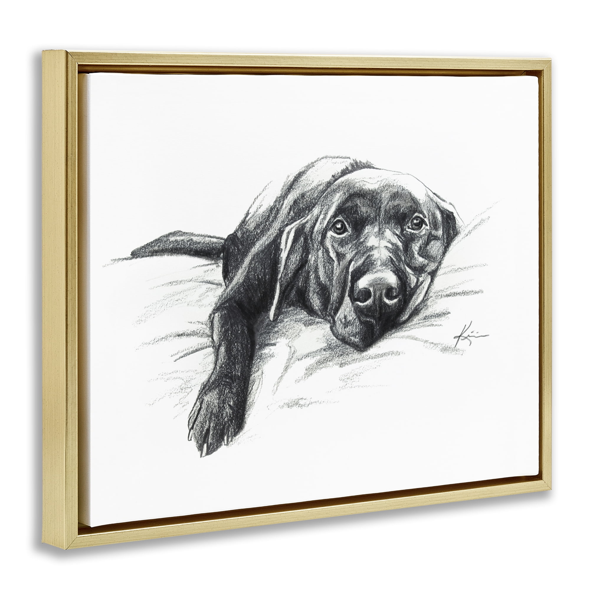 Stupell Industries Naptime Black Labrador Animals Drawing Gold Floater Framed Canvas Art Print Wall Art, 31 x 25