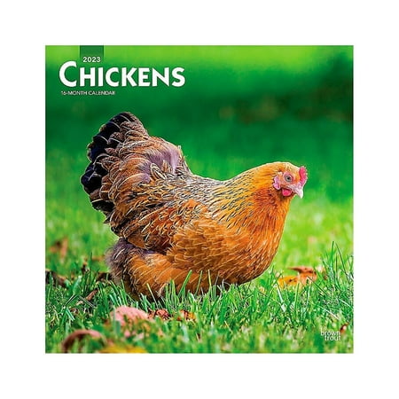 UPC: 0097815490010 | 2023 BrownTrout Chickens 12  x 12  Monthly Wall Calendar (9781975449001)