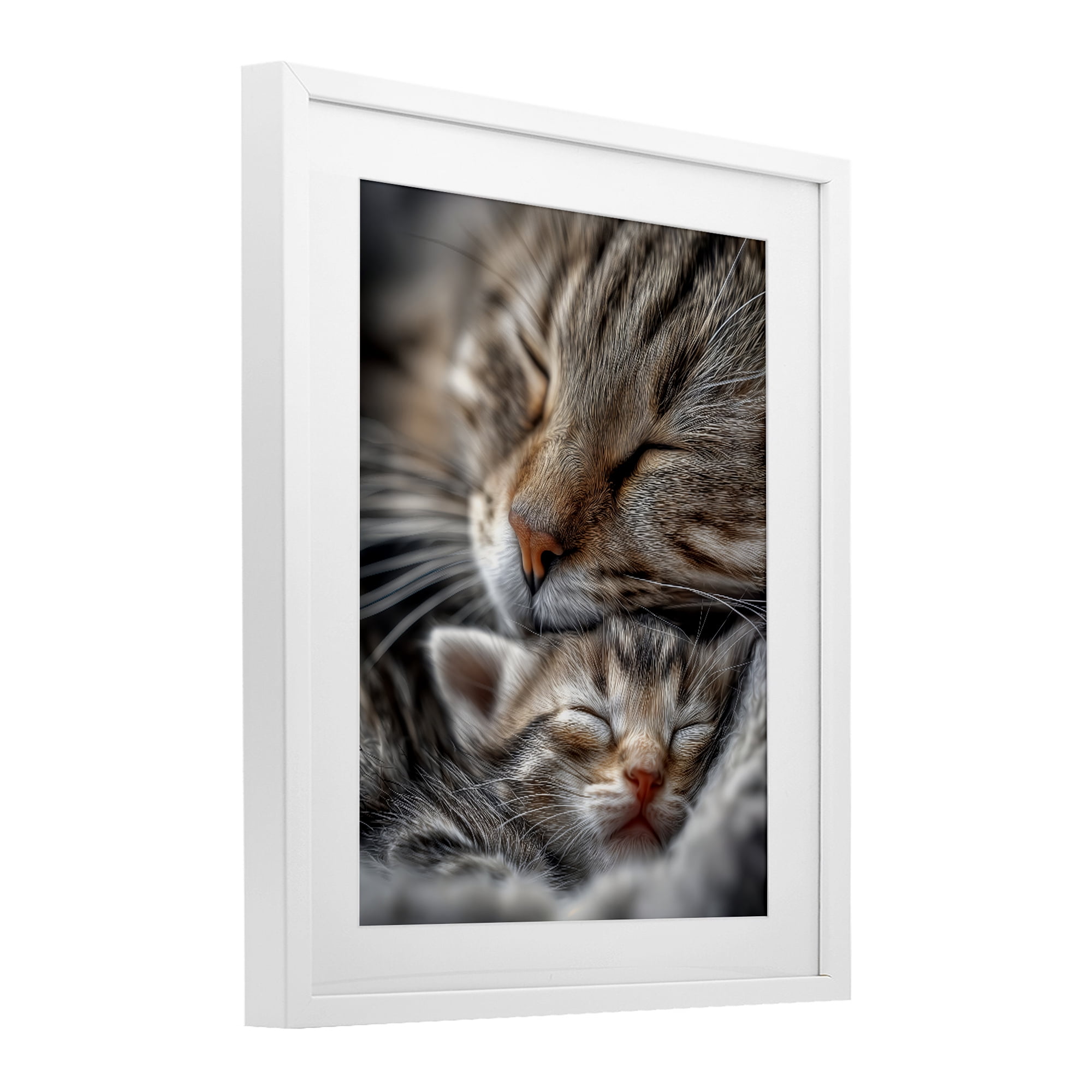 Stupell Industries Kitty Love Cuddles White Framed Print Under Glass, design by Scott Stulberg
