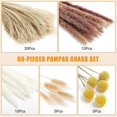 thumbnail image 3 of 60 uds hierba de pampa seca Natural decorativa, reedspapapas Grasstail Weedcrab Billy Balls compatibles con Wedd, 3 of 5
