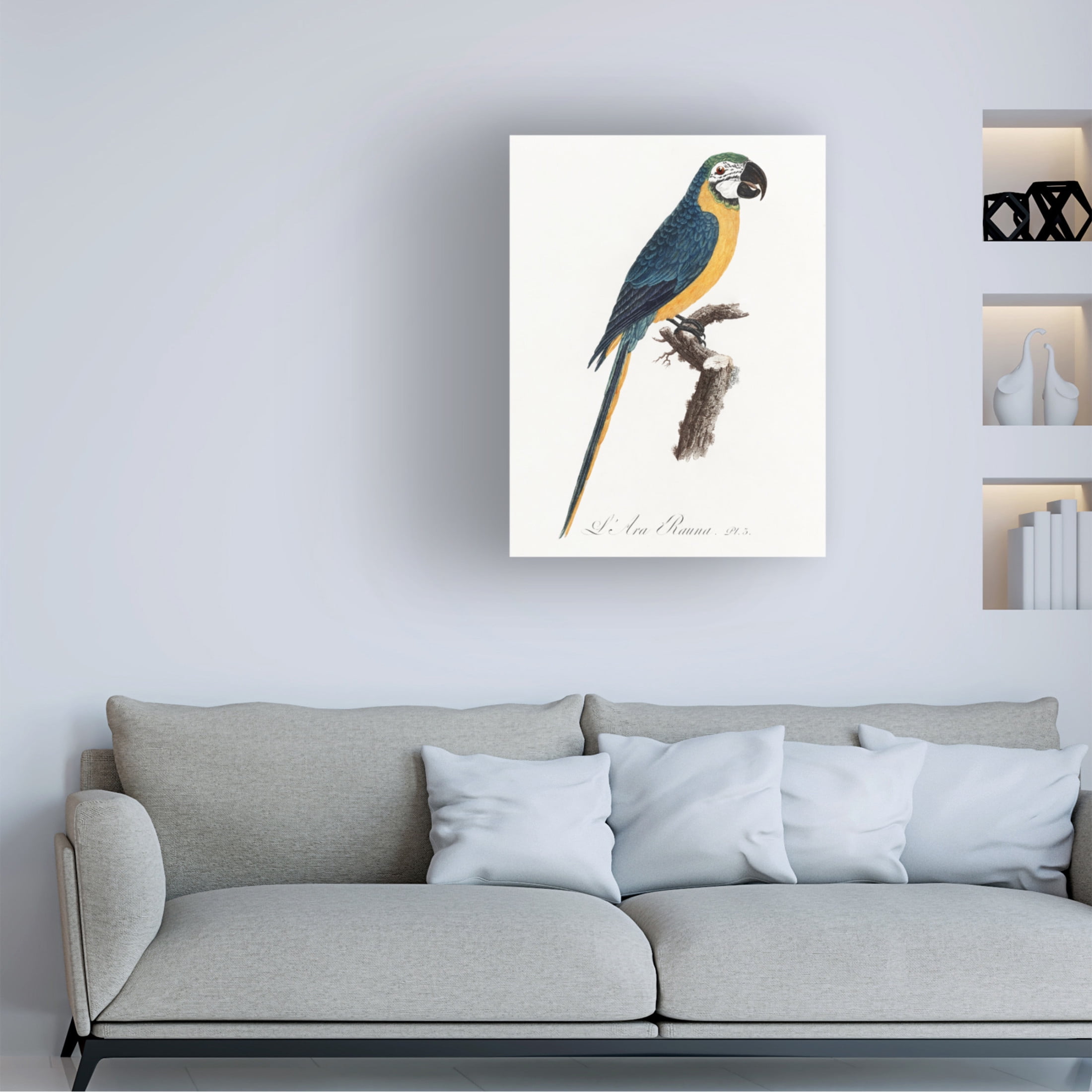 Trademark Fine Art Francois Levaillant Levaillant Parrot I Canvas Wall Art