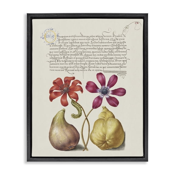 Stupell Industries Transitional Vintage Nature Page Black Floating Frame Canvas Art, 17 x 21, by Grace Popp
