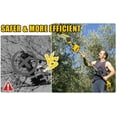 thumbnail image 4 of WETLA 2-in-1 Cordless Pole Saw & Chainsaw - 6" Brushless, 5.9ft Reach, 2×1.5Ah Battery, 4 of 12
