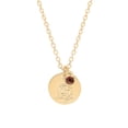 thumbnail image 2 of Time and Tru Women’s January Birthstone Necklace, Gold Tone Chain with Siam Stone & Carnation Flower, 2 of 4