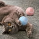 thumbnail image 1 of Bola electrónica inteligente para gatos Wlooms • Juguete móvil inteligente para mascotas • Bola interactiva con batería recargable • Juego activo para gatos y perros, 1 of 8