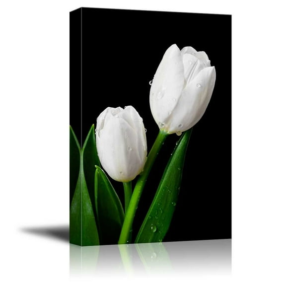 Wall26 Canvas Prints Wall Art - White Tulip on Black Background | Modern Wall Decor/Home Decoration Stretched Gallery Canvas Wrap Giclee Print. Ready to Hang - 24" x 36"