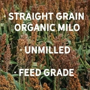 New Country Organics | Organic Milo for Livestock | Certified Organic and Non-GMO | Feed Grade| 40 lbs