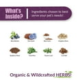 thumbnail image 5 of Amber NaturalZ Pet C&C for Pets | Herbal Support for Sinus & Respiratory Health 4oz, 5 of 6