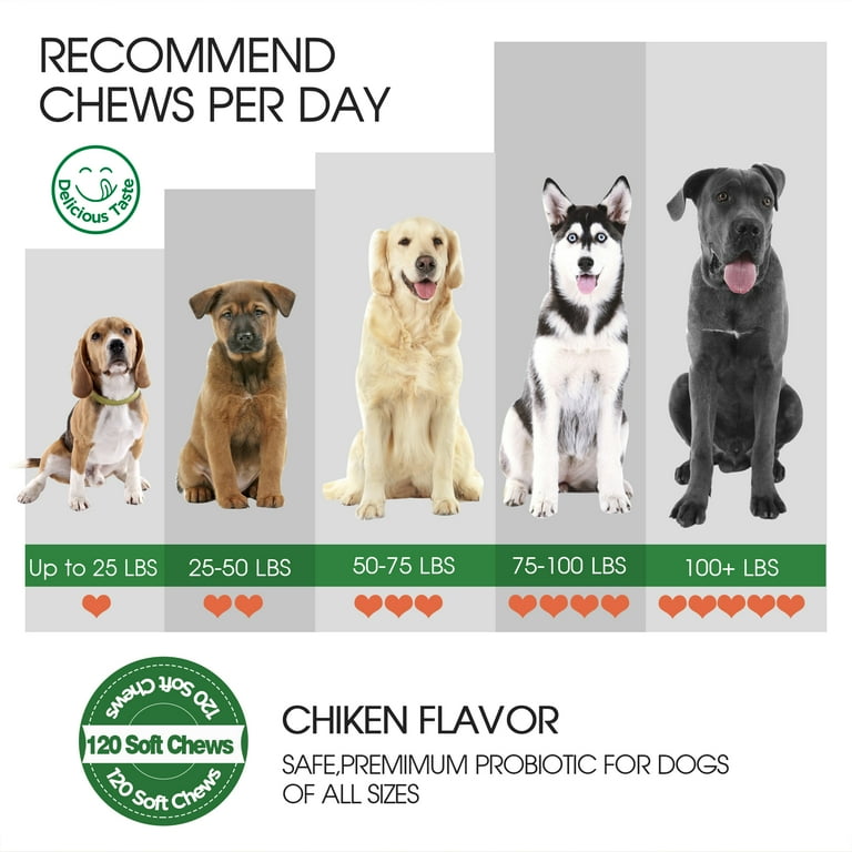 Safe probiotics for dogs sales
